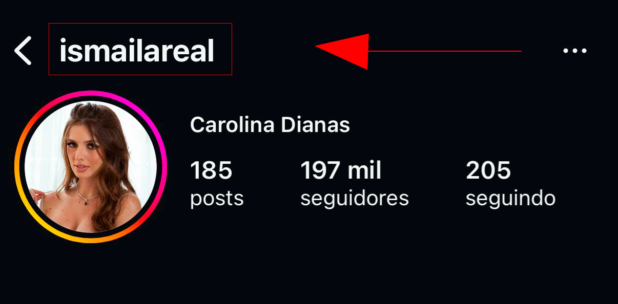 Exemplo: onde copiar o @ no perfil do Instagram